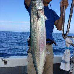 Blue.win 海人丸 釣果