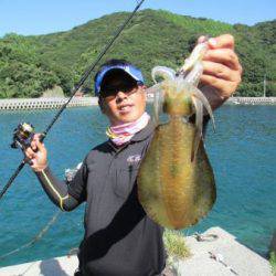 四国秋イカ調査【ジャイアン氏連載記事No.01】