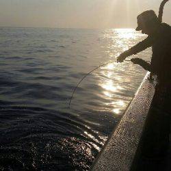 第五慶門丸 釣果