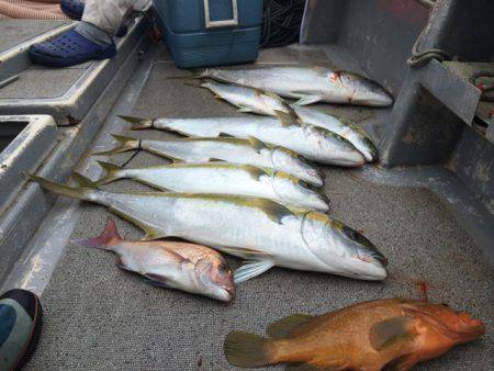 幸風（さちかぜ） 釣果