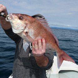 遊漁船ブルーウッズ 釣果