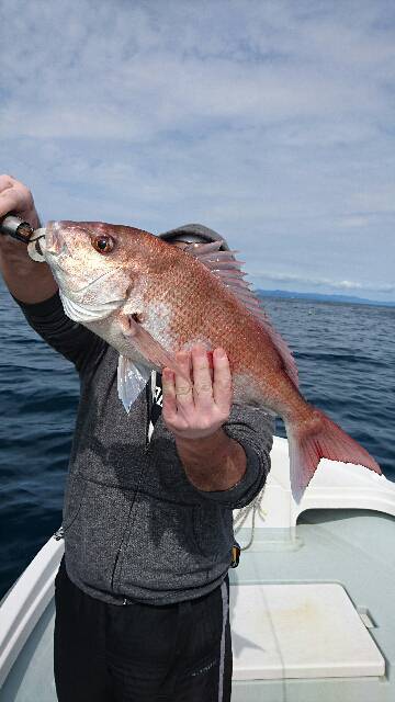 遊漁船ブルーウッズ 釣果