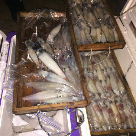 幸風（さちかぜ） 釣果