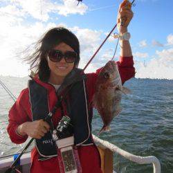 遊漁船 幸友丸 釣果