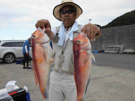 大進丸(新潟) 釣果