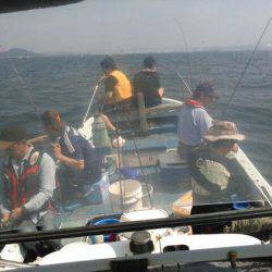 フィッシングガイド りょう 釣果