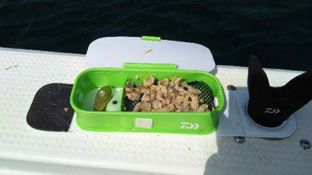 海晴丸 釣果