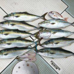 ふじしめ丸 釣果