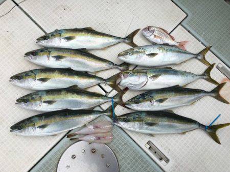 ふじしめ丸 釣果