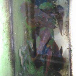 フィッシングガイド りょう 釣果