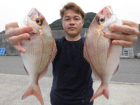 大進丸(新潟) 釣果