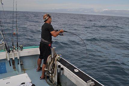 八海丸 釣果