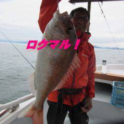 遊漁船 幸友丸 釣果