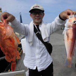 大進丸(新潟) 釣果