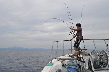 八海丸 釣果