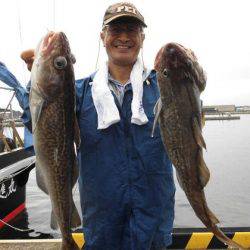 大進丸（新潟） 釣果