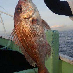 遊漁船 新鋭丸 釣果