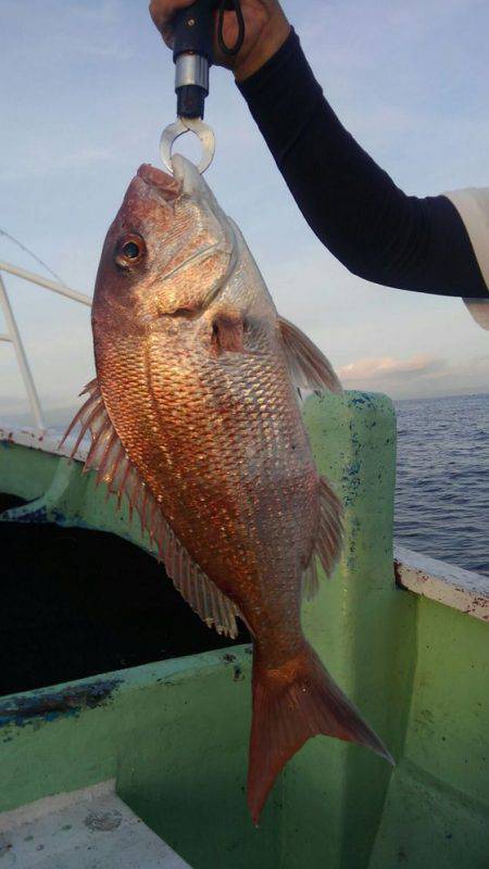 遊漁船 新鋭丸 釣果