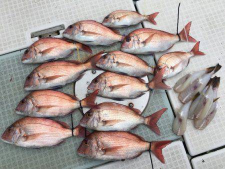 ふじしめ丸 釣果