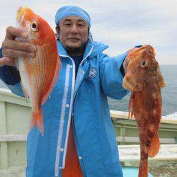 大進丸(新潟) 釣果