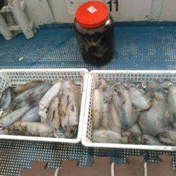 フィッシングガイド りょう 釣果