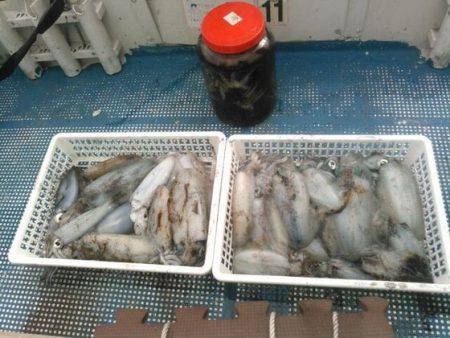 フィッシングガイド りょう 釣果