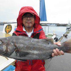 大進丸(新潟) 釣果