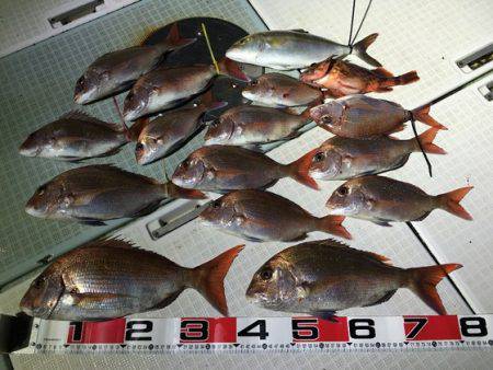 ふじしめ丸 釣果