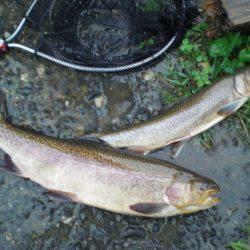 高萩ふれあいの里フィッシングエリア 釣果