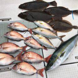 ふじしめ丸 釣果