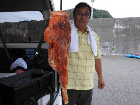 大進丸（新潟） 釣果