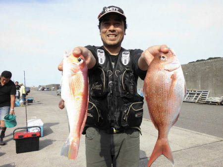 大進丸（新潟） 釣果