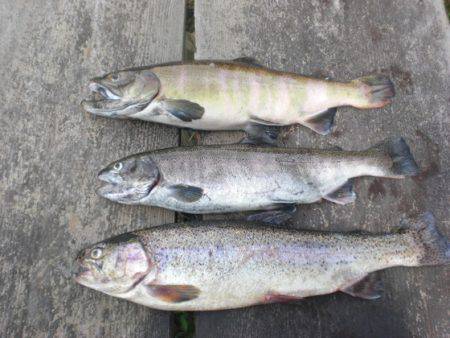 高萩ふれあいの里フィッシングエリア 釣果