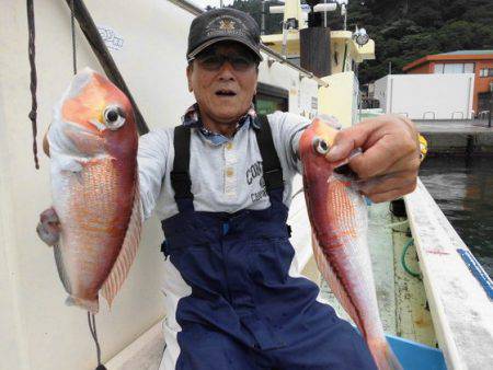 大進丸（新潟） 釣果