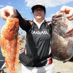 大進丸(新潟) 釣果