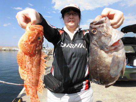 大進丸(新潟) 釣果