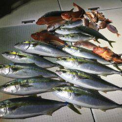 ふじしめ丸 釣果