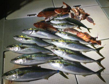 ふじしめ丸 釣果