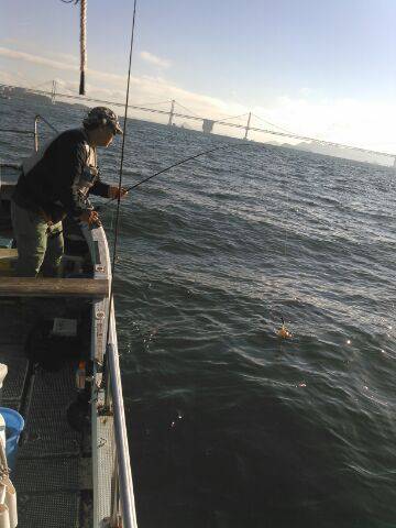 フィッシングガイド りょう 釣果