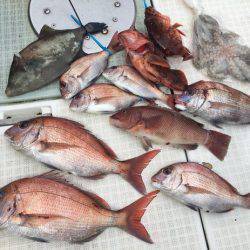 ふじしめ丸 釣果