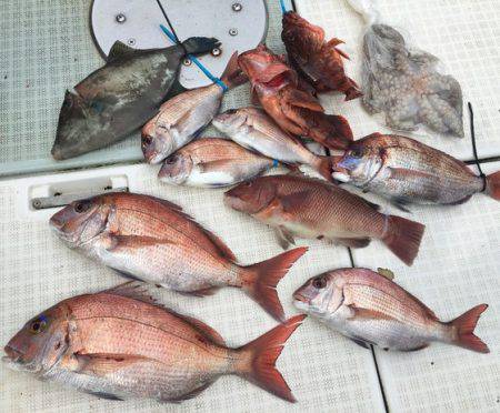 ふじしめ丸 釣果