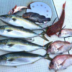 ふじしめ丸 釣果