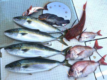 ふじしめ丸 釣果