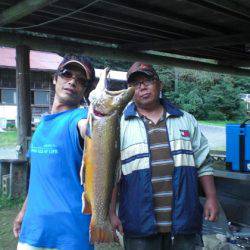 高萩ふれあいの里フィッシングエリア 釣果