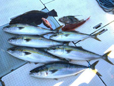 ふじしめ丸 釣果