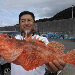 大進丸(新潟) 釣果