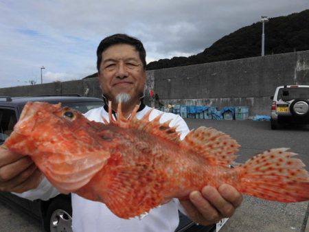 大進丸（新潟） 釣果