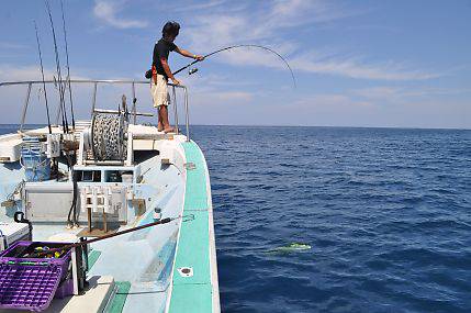 八海丸 釣果