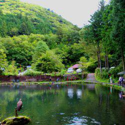 小菅トラウトガーデン 釣果