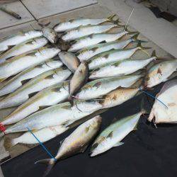 寿裕 (YOSHIHIRO) 釣果